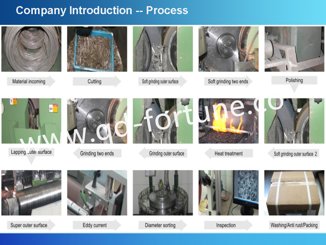 Qingdao Fuqin roller process processo a rulli